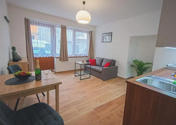 Centre Apartment Budweis